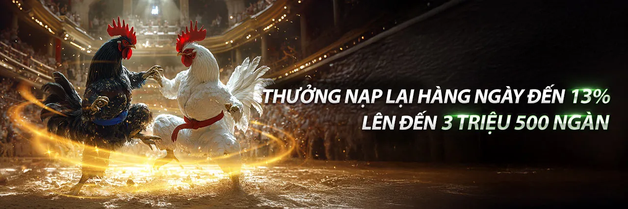 Đá gà trực tuyến 2bong